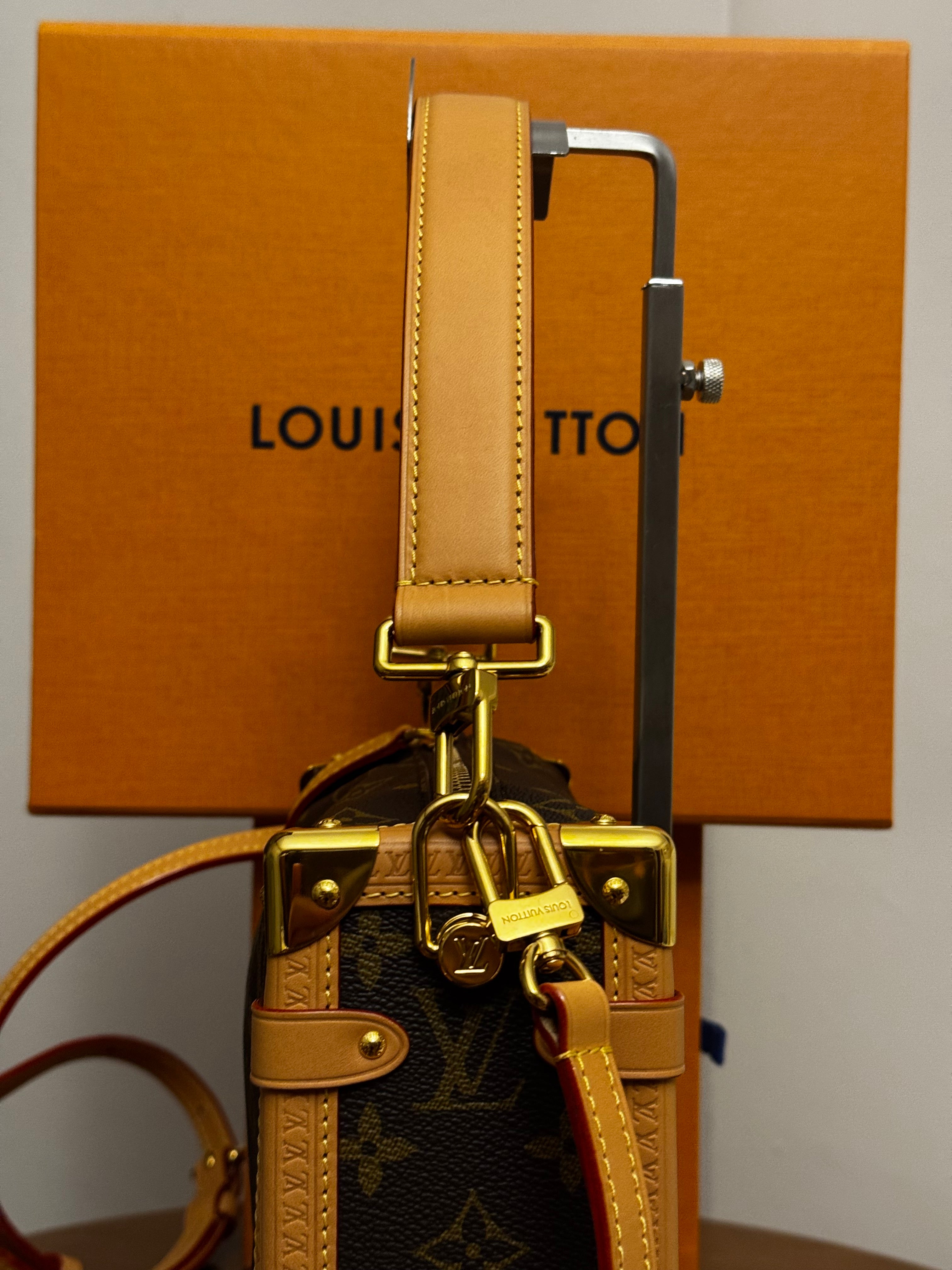 Louis Vuitton Borsa Side Trunk MM
