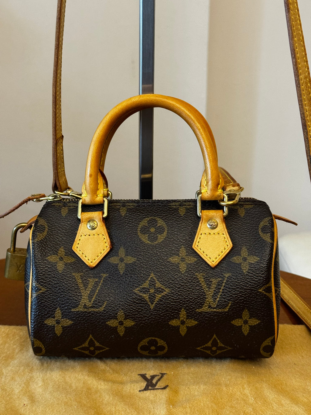 Louis Vuitton Nano Speedy
