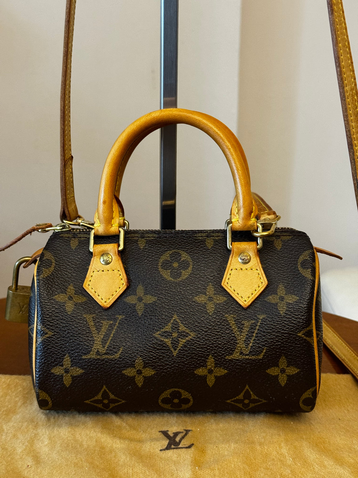 Louis Vuitton Nano Speedy