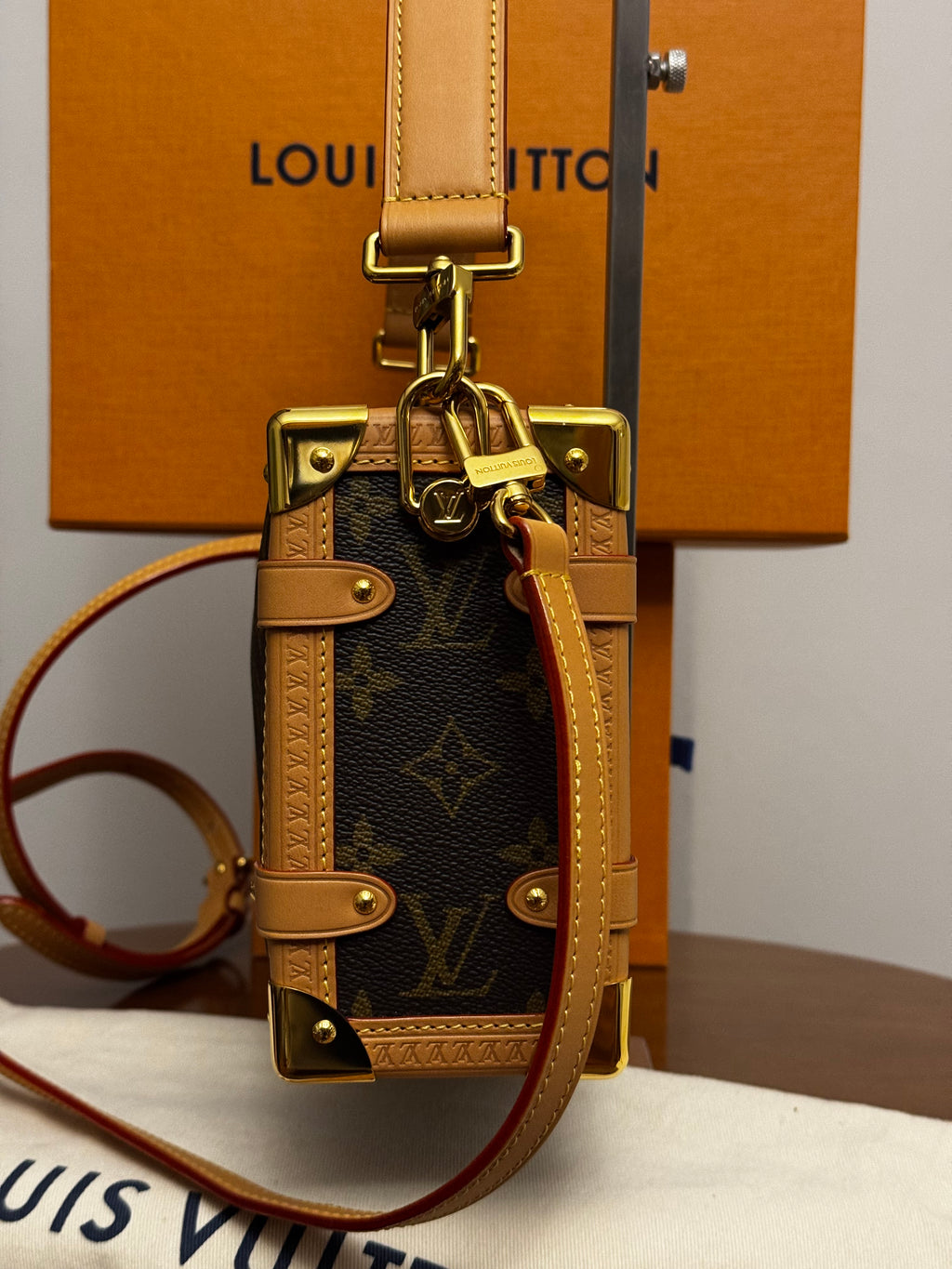 Louis Vuitton Borsa Side Trunk MM
