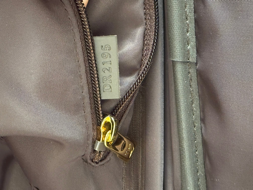 Louis Vuitton Pegase