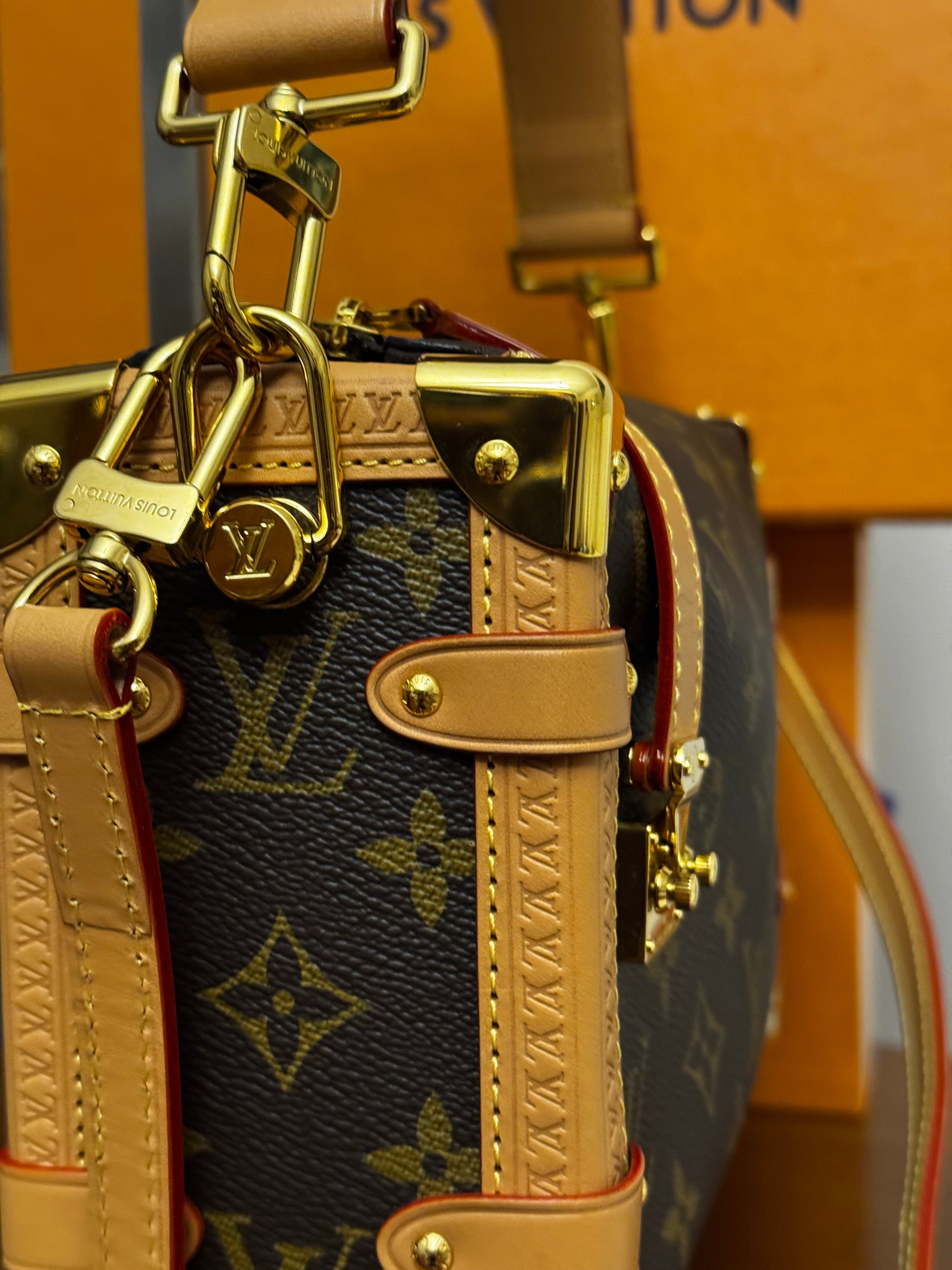 Louis Vuitton Borsa Side Trunk MM