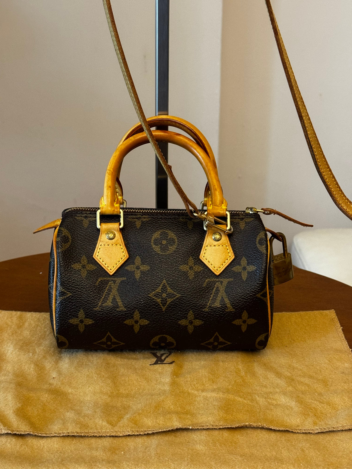 Louis Vuitton Nano Speedy