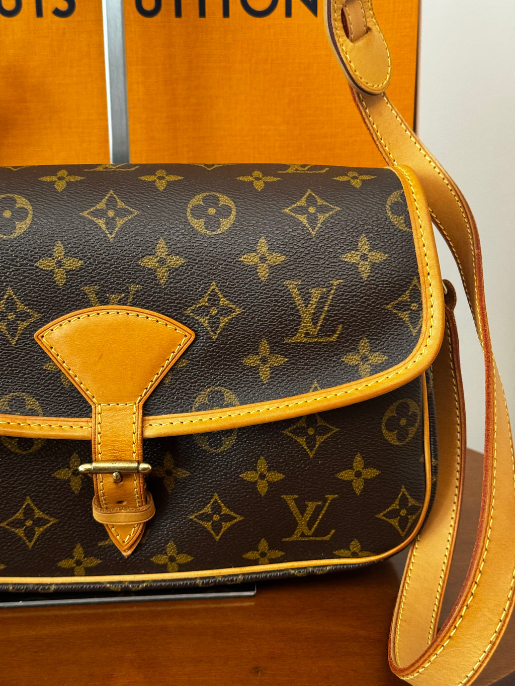 Louis Vuitton Sologne