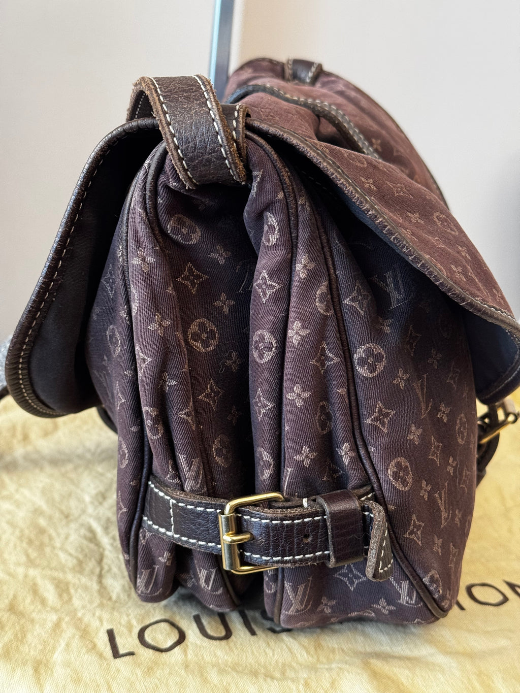 Louis Vuitton Monogram Mini Lin Saumur 30
