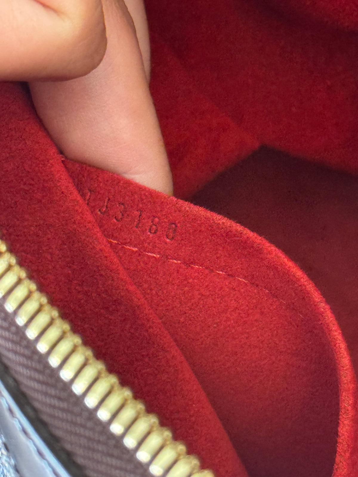 Louis Vuitton Trevi