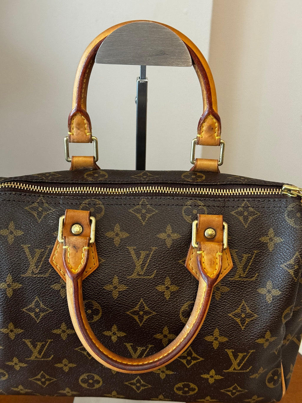 Louis Vuitton Speedy 25