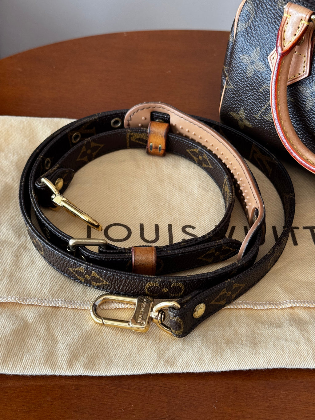 Louis Vuitton Nano Speedy