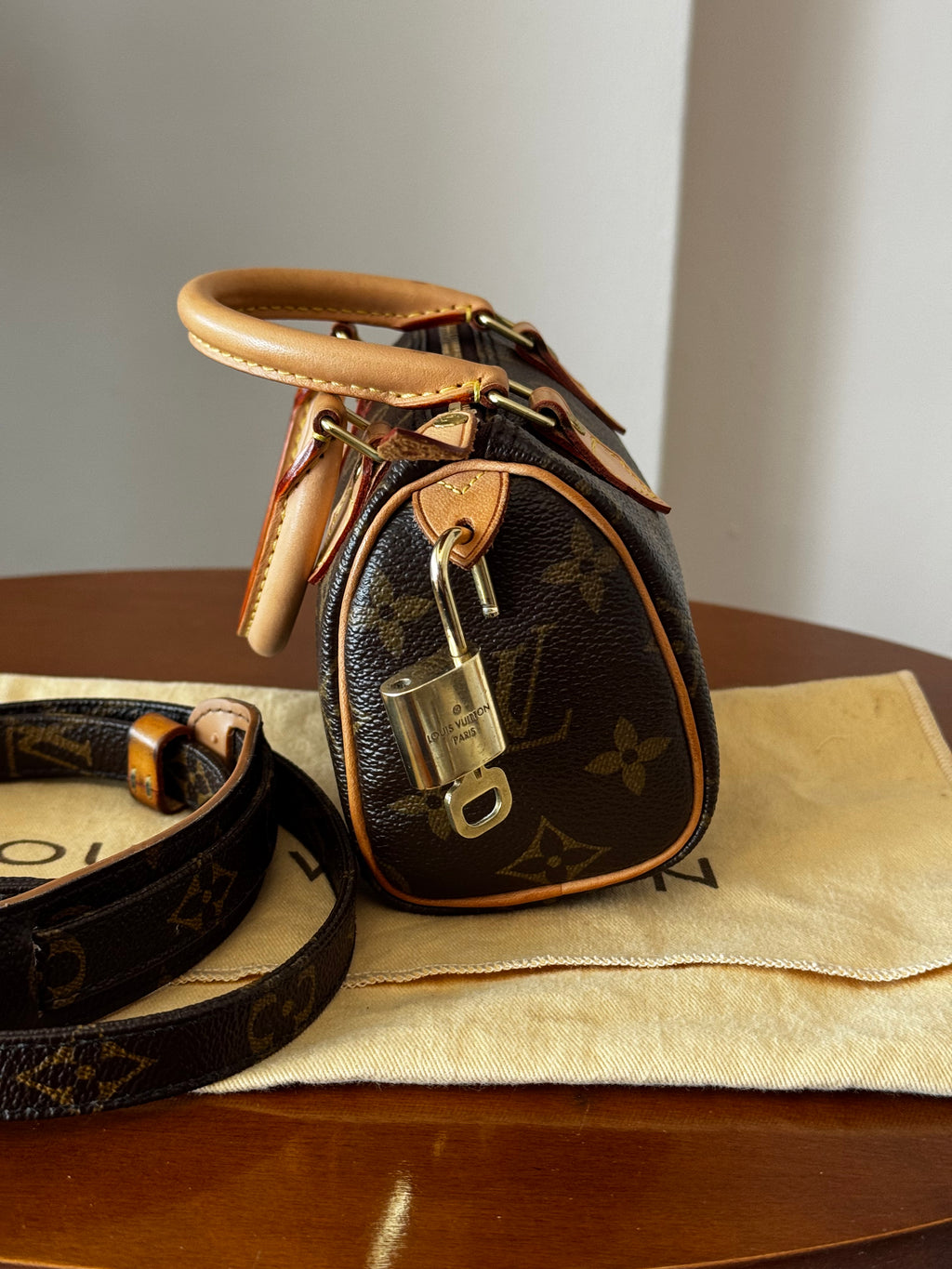 Louis Vuitton Nano Speedy