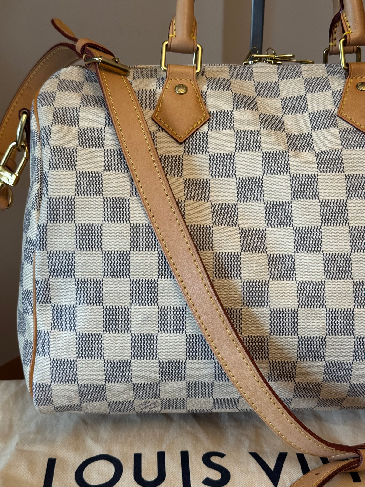 Louis Vuitton Speedy 30 bandouliere