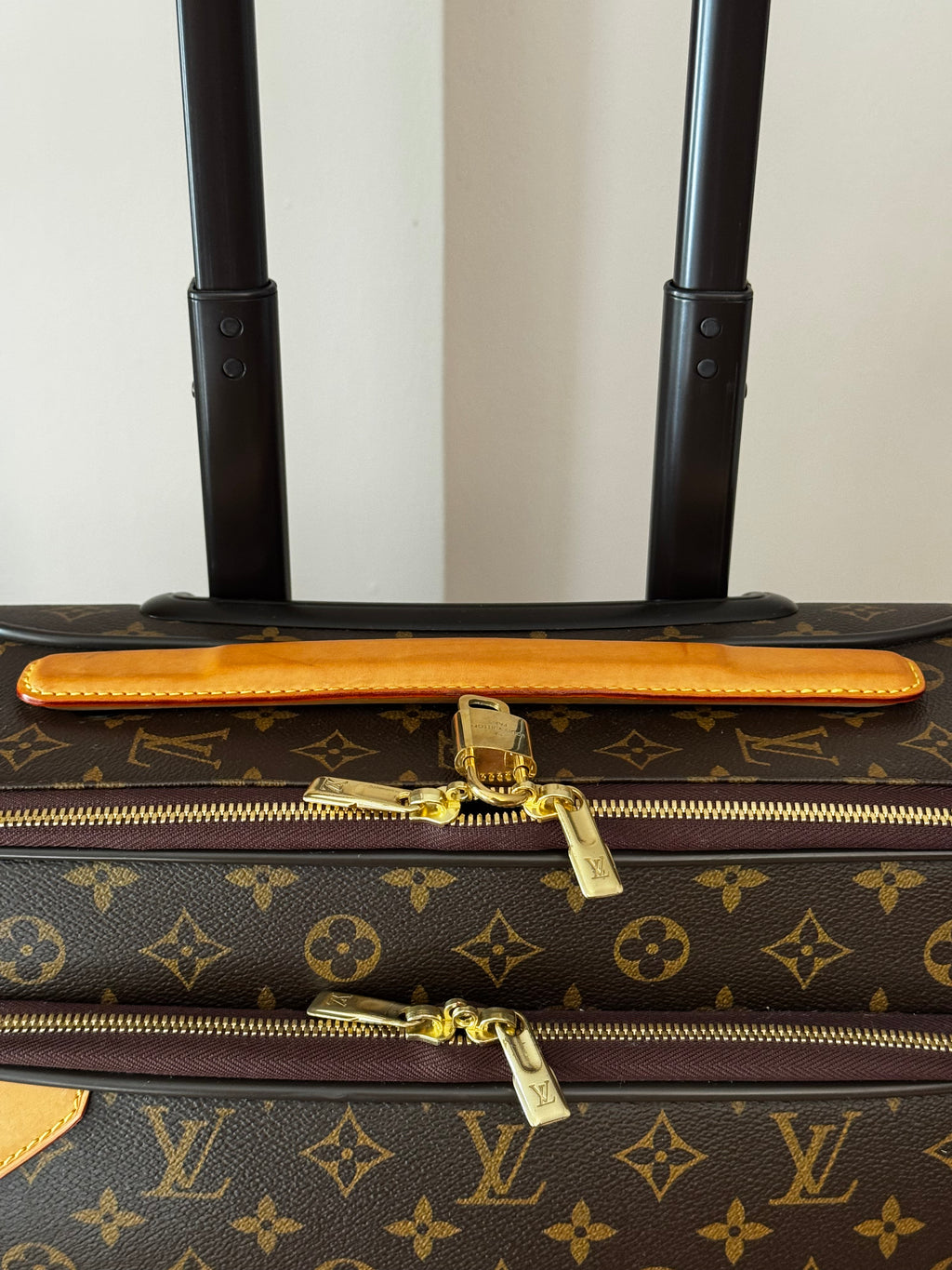 Louis Vuitton Pegase 55