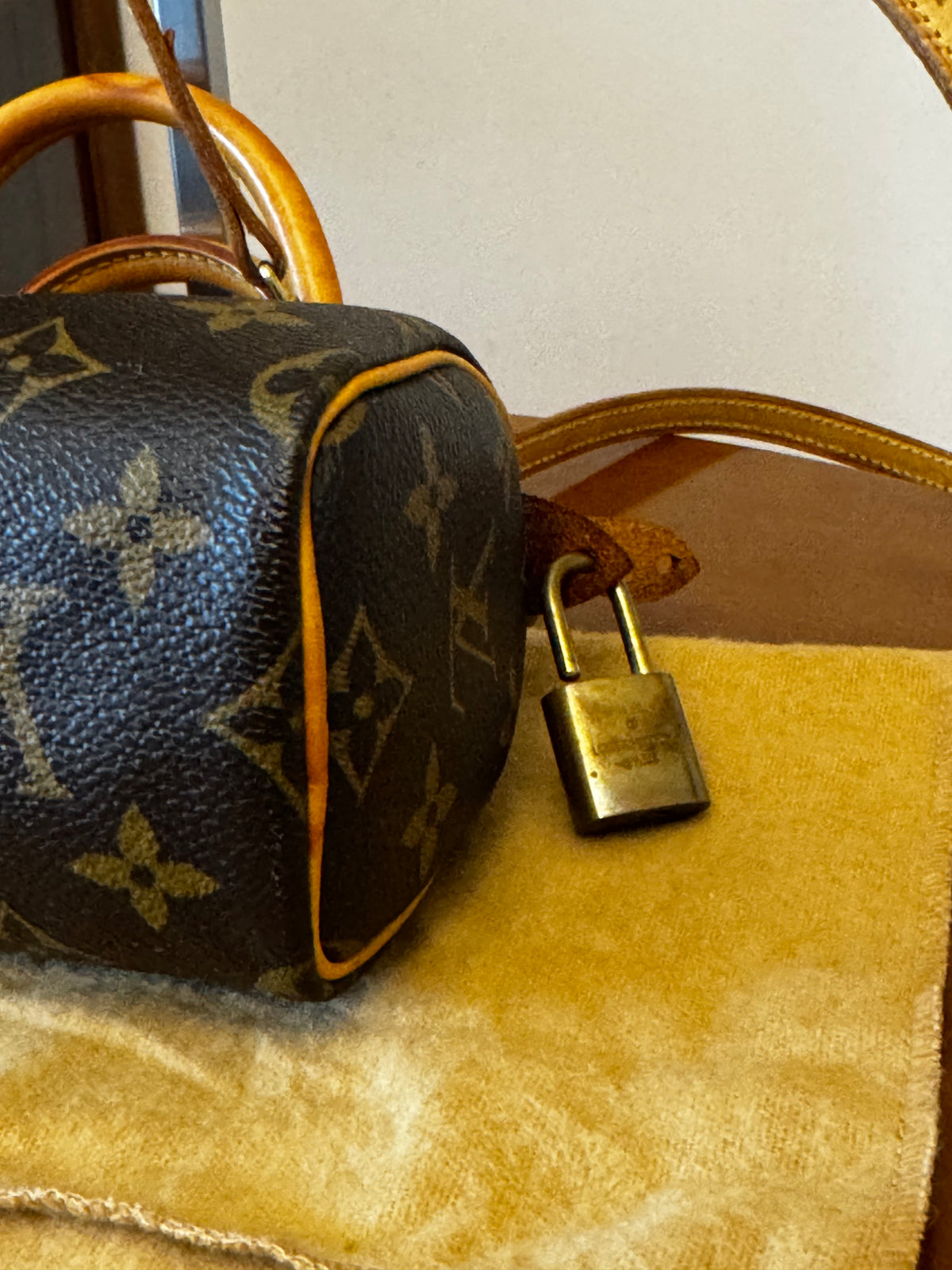 Louis Vuitton Nano Speedy