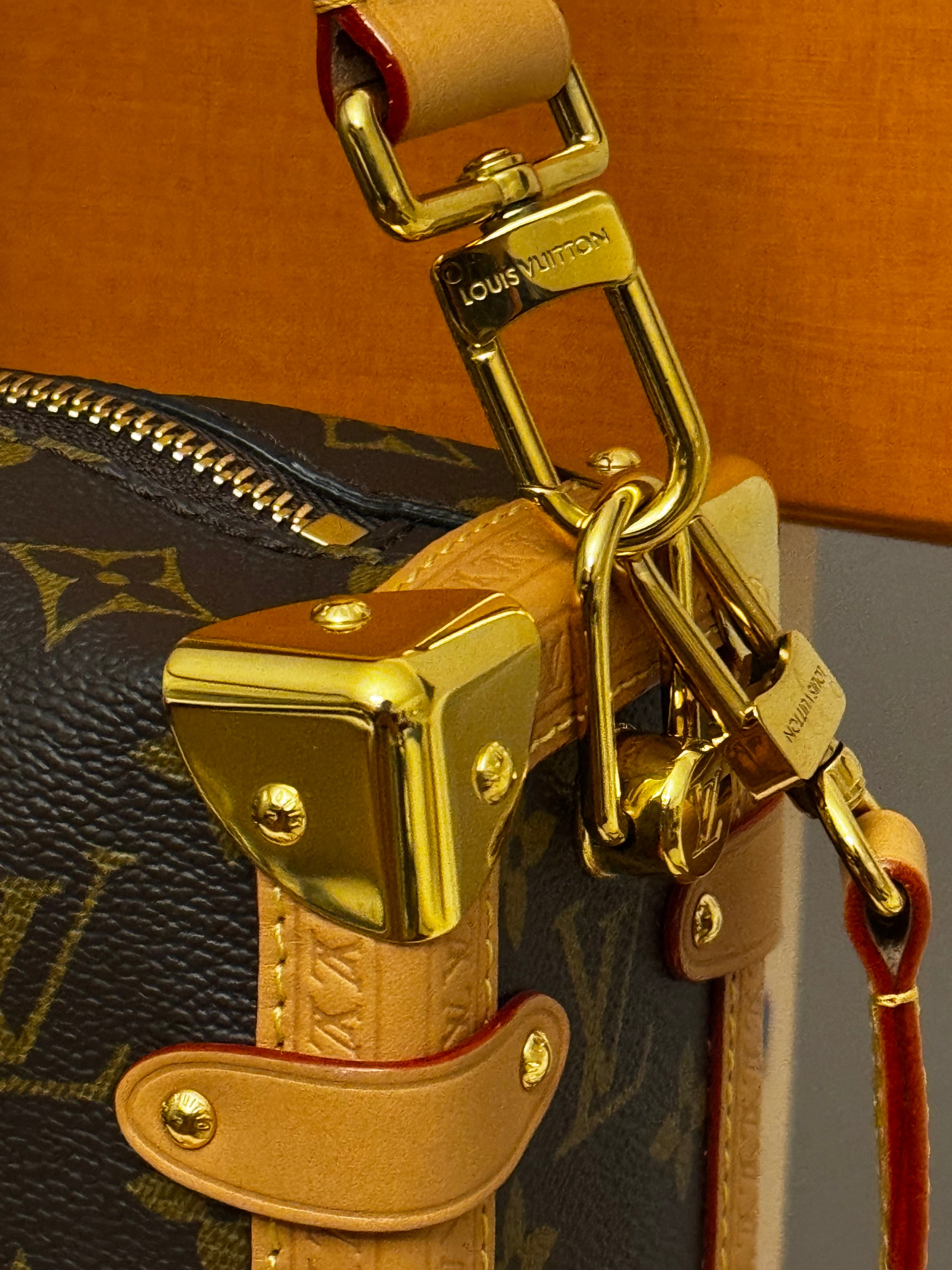 Louis Vuitton Borsa Side Trunk MM