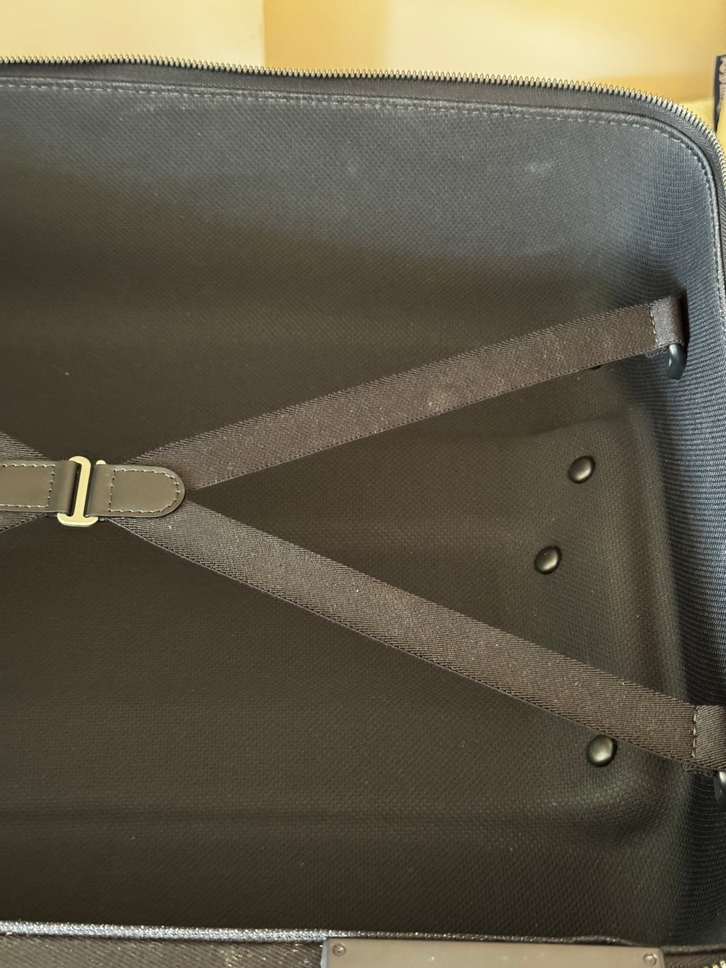 Louis Vuitton Pegase 55