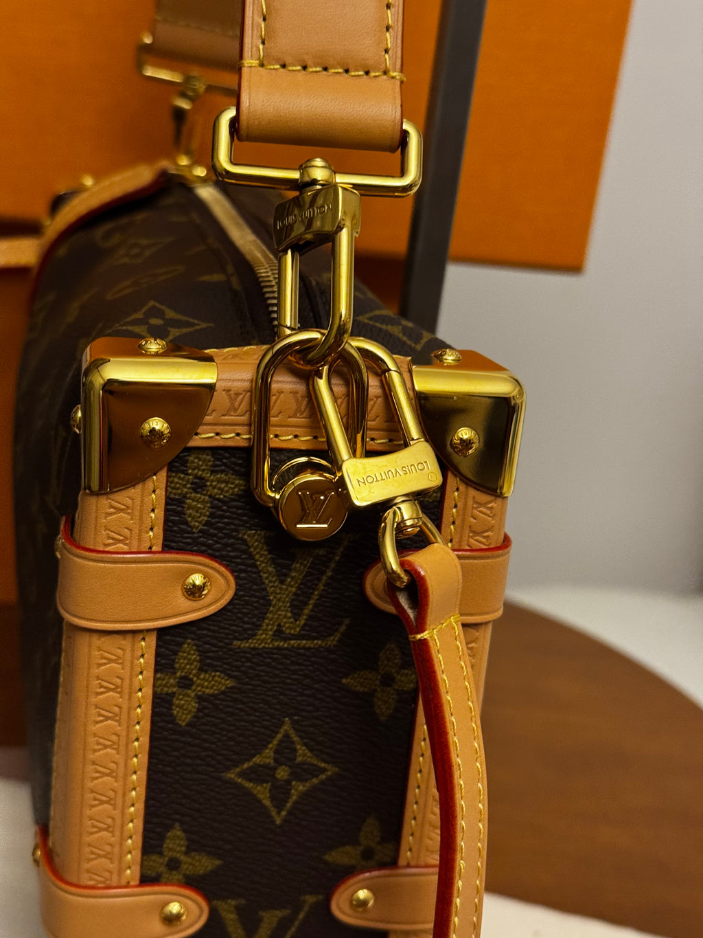 Louis Vuitton Borsa Side Trunk MM