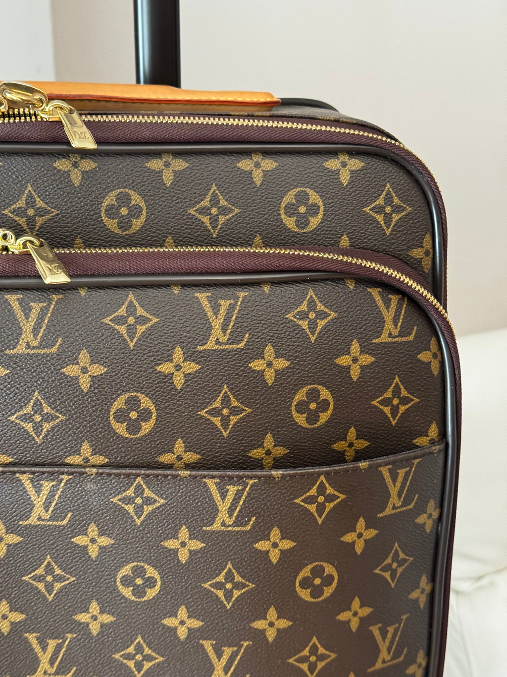 Louis Vuitton Pegase 55