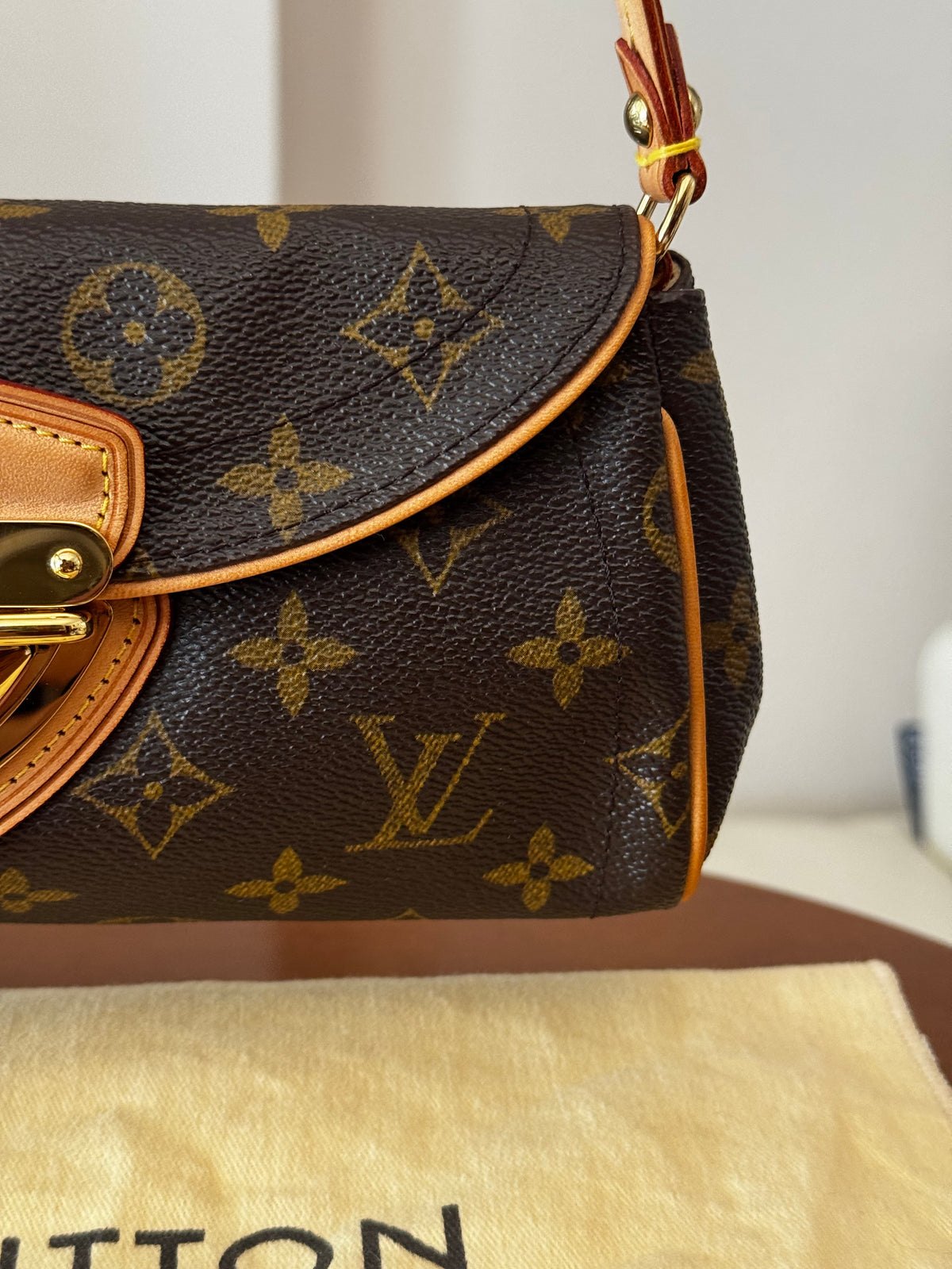 Louis Vuitton Pochette Beverly