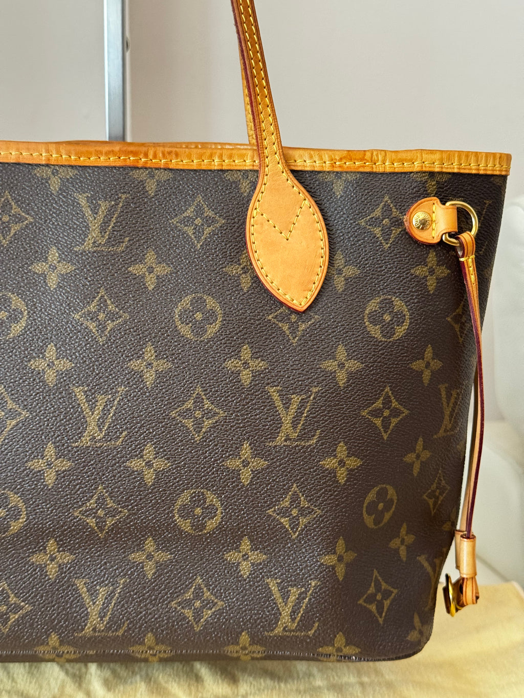 Louis Vuitton Neverfull PM