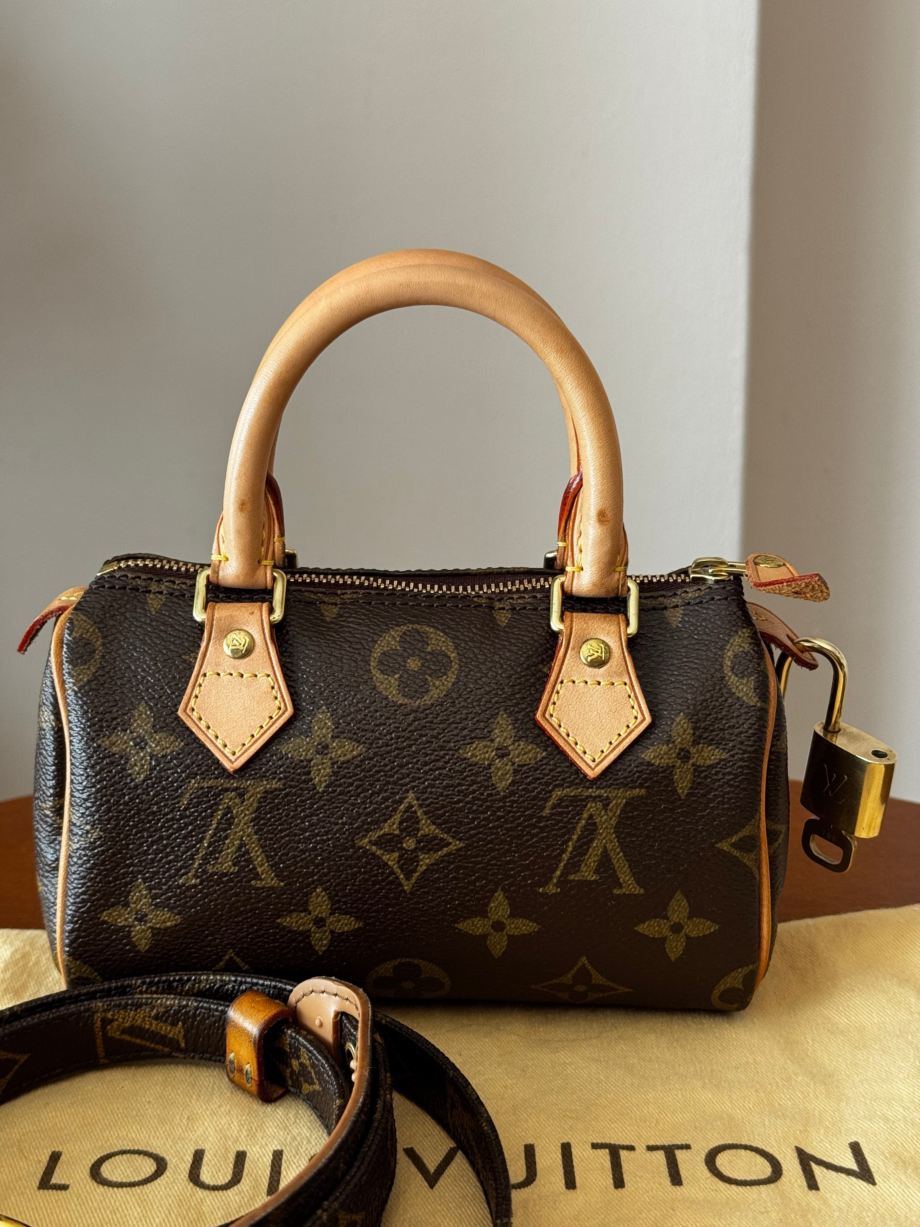 Louis Vuitton Nano Speedy