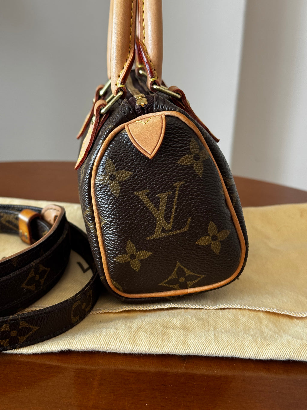 Louis Vuitton Nano Speedy