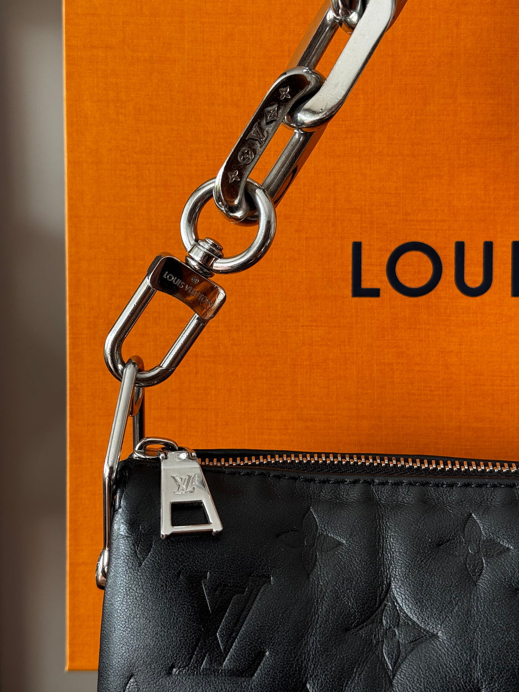 Louis Vuitton Coussin